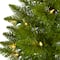 2ft. Pre-Lit Providence Pine Artificial Christmas Tree, Warm White Lights